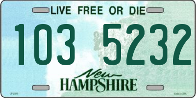 NH license plate 1035232