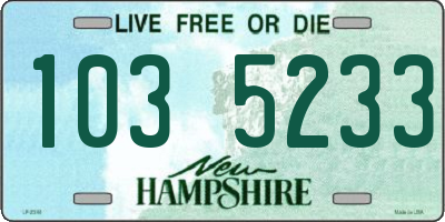NH license plate 1035233
