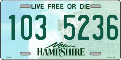 NH license plate 1035236