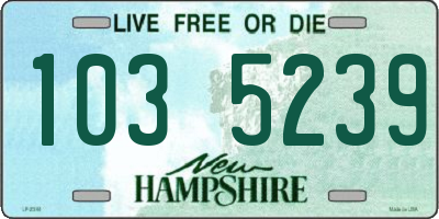 NH license plate 1035239