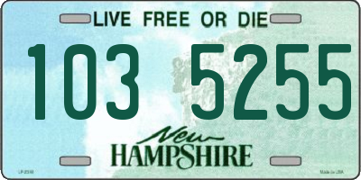NH license plate 1035255