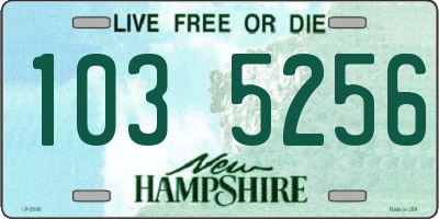 NH license plate 1035256