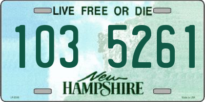 NH license plate 1035261