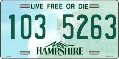 NH license plate 1035263
