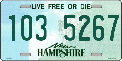 NH license plate 1035267