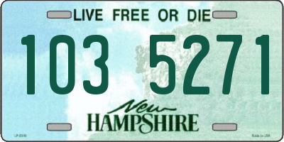 NH license plate 1035271