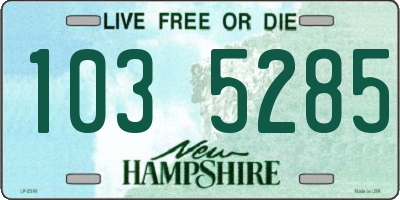 NH license plate 1035285