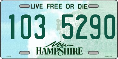 NH license plate 1035290