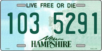 NH license plate 1035291