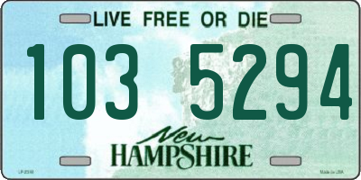 NH license plate 1035294