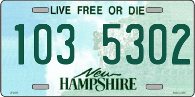 NH license plate 1035302