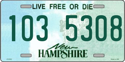NH license plate 1035308