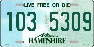 NH license plate 1035309