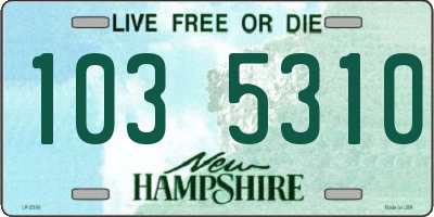 NH license plate 1035310