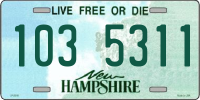 NH license plate 1035311