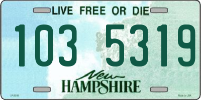 NH license plate 1035319
