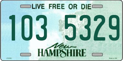 NH license plate 1035329