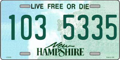 NH license plate 1035335