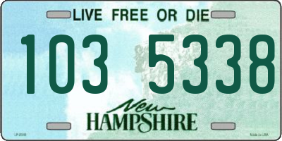 NH license plate 1035338