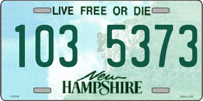 NH license plate 1035373