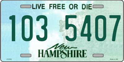 NH license plate 1035407