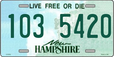 NH license plate 1035420