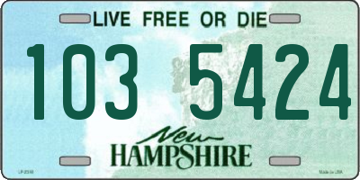 NH license plate 1035424