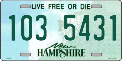 NH license plate 1035431