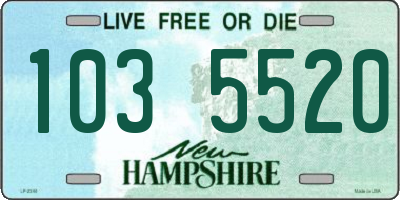 NH license plate 1035520