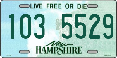 NH license plate 1035529