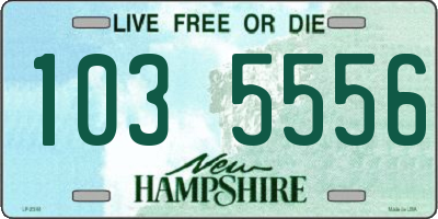 NH license plate 1035556