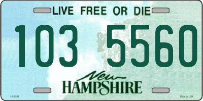 NH license plate 1035560