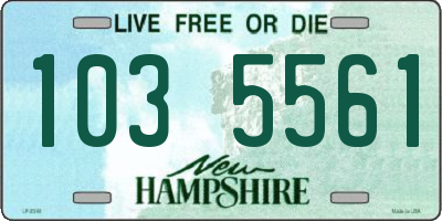 NH license plate 1035561