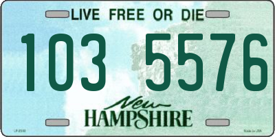 NH license plate 1035576