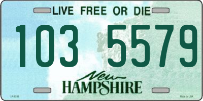 NH license plate 1035579