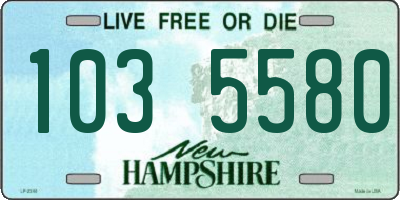 NH license plate 1035580