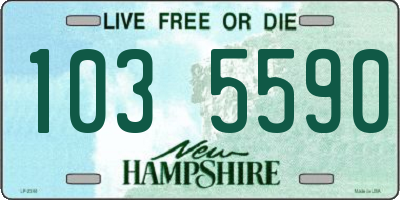 NH license plate 1035590
