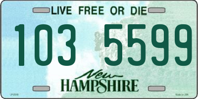 NH license plate 1035599
