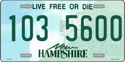 NH license plate 1035600