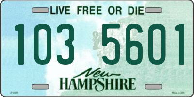 NH license plate 1035601