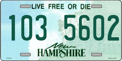NH license plate 1035602