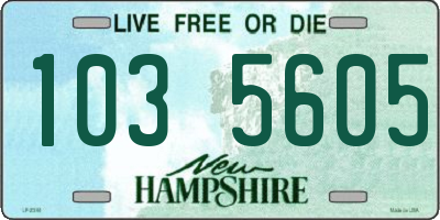 NH license plate 1035605