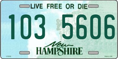 NH license plate 1035606