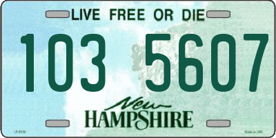 NH license plate 1035607