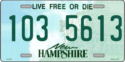 NH license plate 1035613