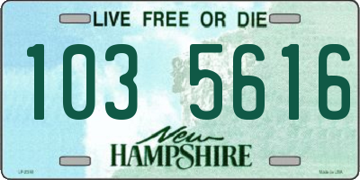 NH license plate 1035616