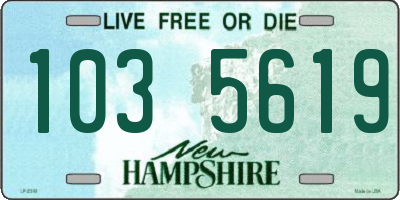 NH license plate 1035619