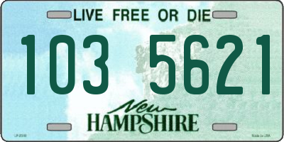 NH license plate 1035621