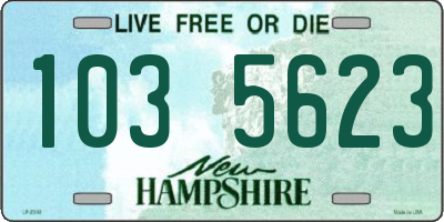 NH license plate 1035623