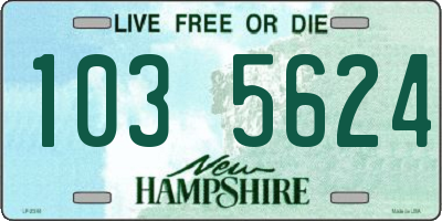 NH license plate 1035624